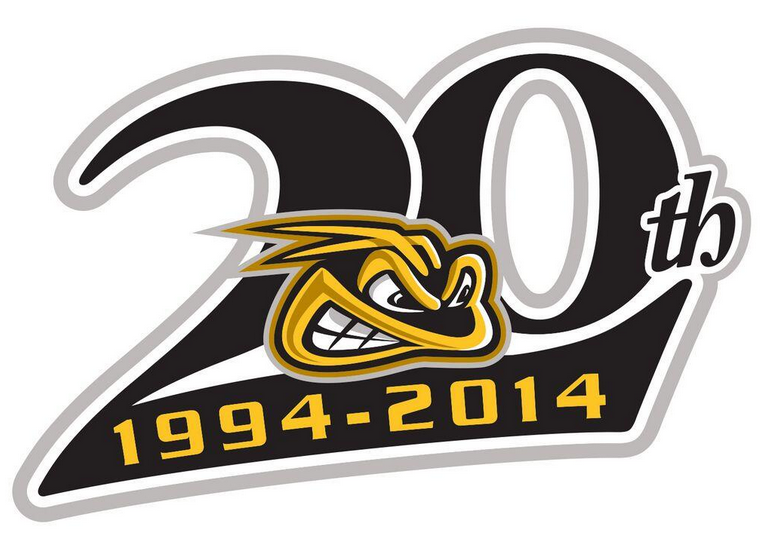 Sarnia Sting 2015 Anniversary Logo iron on heat transfer